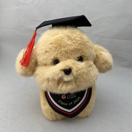 岭南大学持续进修学院
