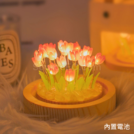 礼品订购郁金香小夜灯广告