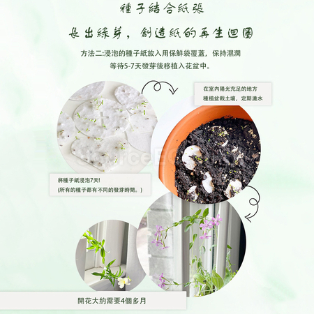 礼品订购种子纸笔记本广告