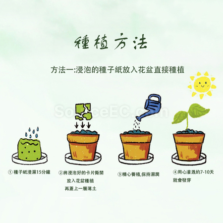 礼品订购种子纸杯套 广告