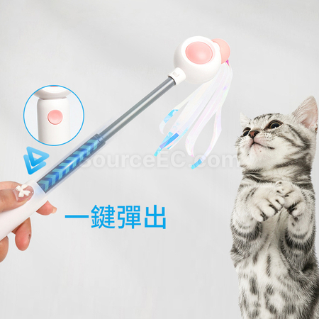 礼品订购逗猫棒广告