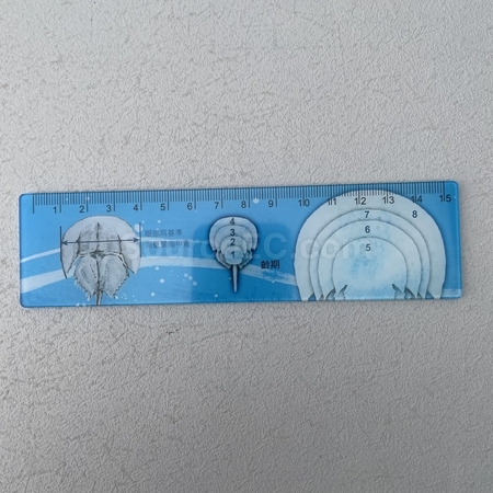 直尺, 文具尺子, 卷尺, 钢尺, 健康尺, 钥匙扣尺, 皮软尺, 木尺子, 间尺, 计算尺, 三角尺, 定制文具, 礼品, 广告赠品, 纪念品, 礼品公司, 定制礼品, 商务礼品, 宣传礼品, 广告赠品, 环保礼品, 文具, 自订纪念品, 礼物, 礼物包装