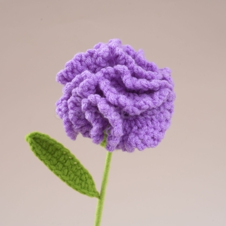 礼品订购扭扭棒康乃馨郁金香花束广告