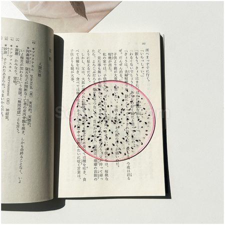 礼品订购半透明亚克力水果书签广告
