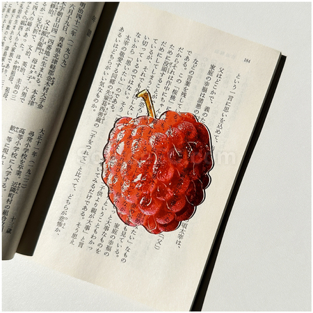 礼品订购半透明亚克力水果书签广告