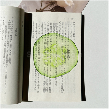 礼品订购半透明亚克力水果书签广告