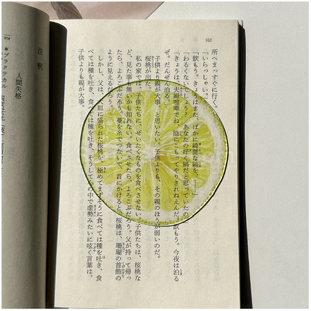 礼品订购半透明亚克力水果书签广告
