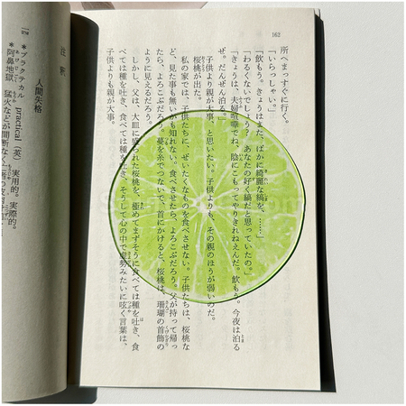 礼品订购半透明亚克力水果书签广告