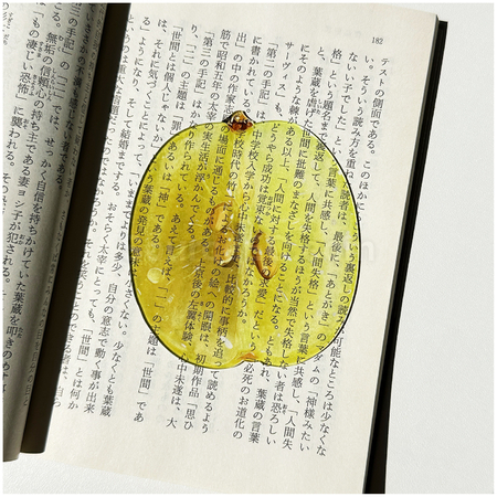礼品订购半透明亚克力水果书签广告