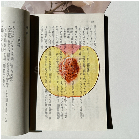礼品订购半透明亚克力水果书签广告
