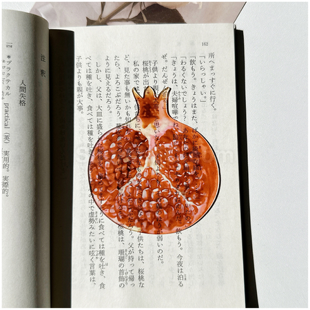 礼品订购半透明亚克力水果书签广告