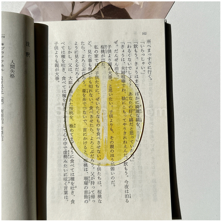 礼品订购半透明亚克力水果书签广告