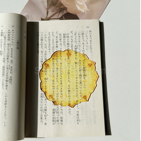礼品订购半透明亚克力水果书签广告