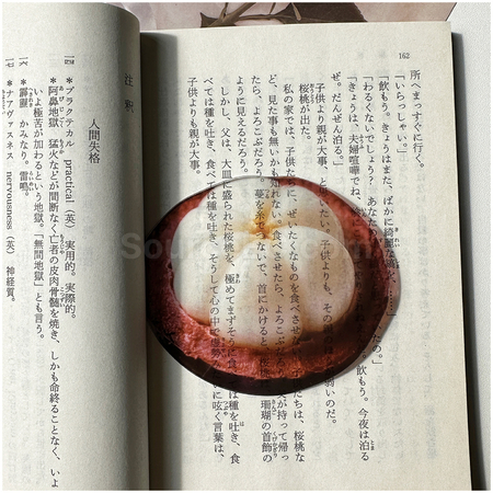 礼品订购半透明亚克力水果书签广告