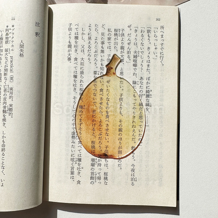 礼品订购半透明亚克力水果书签广告