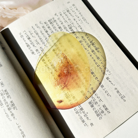 礼品订购半透明亚克力水果书签广告