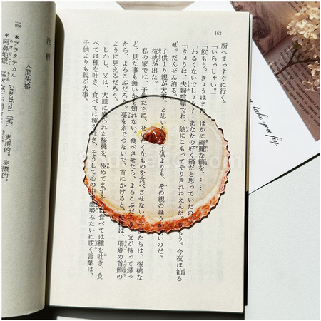 礼品订购半透明亚克力水果书签广告